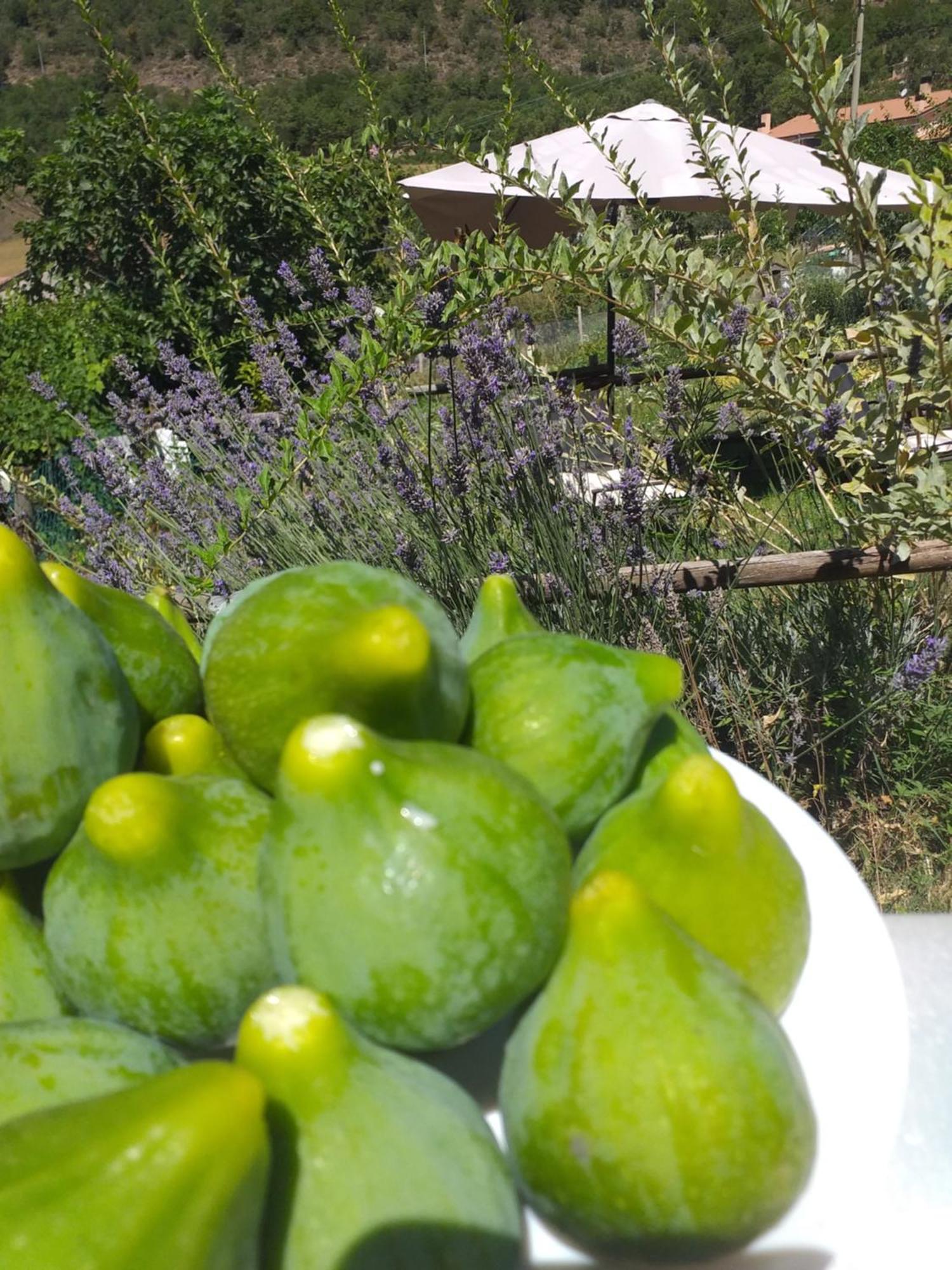 Agriturismo Campagna In Compagnia Vallo di Nera Luaran gambar
