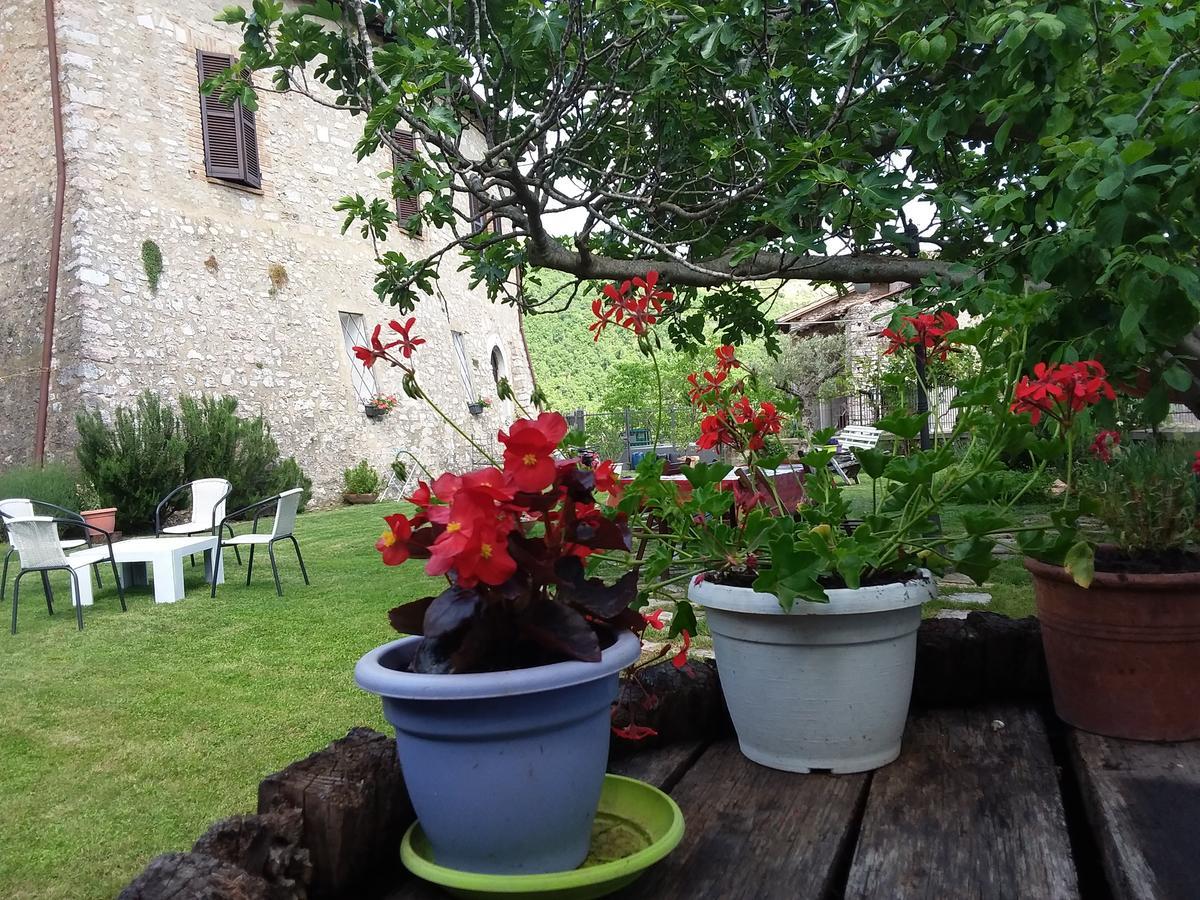 Agriturismo Campagna In Compagnia Vallo di Nera Luaran gambar